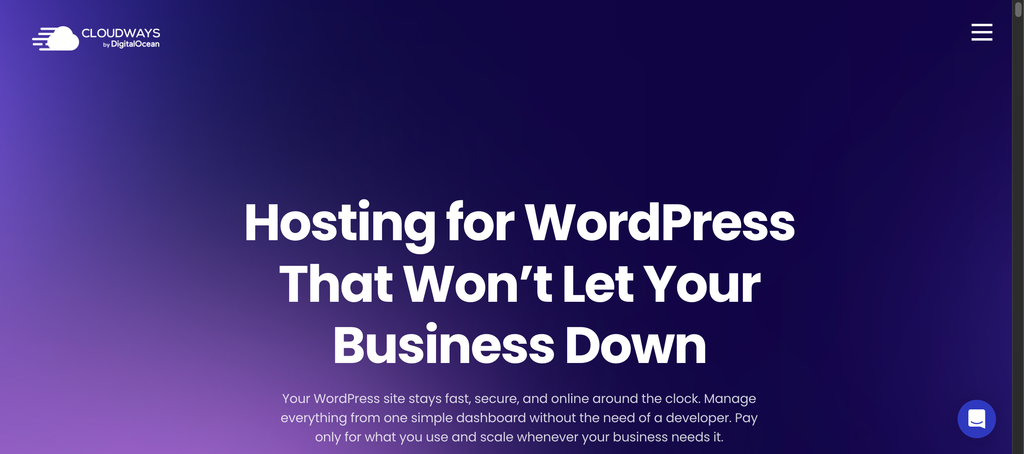 Cloudways WordPress Hosting