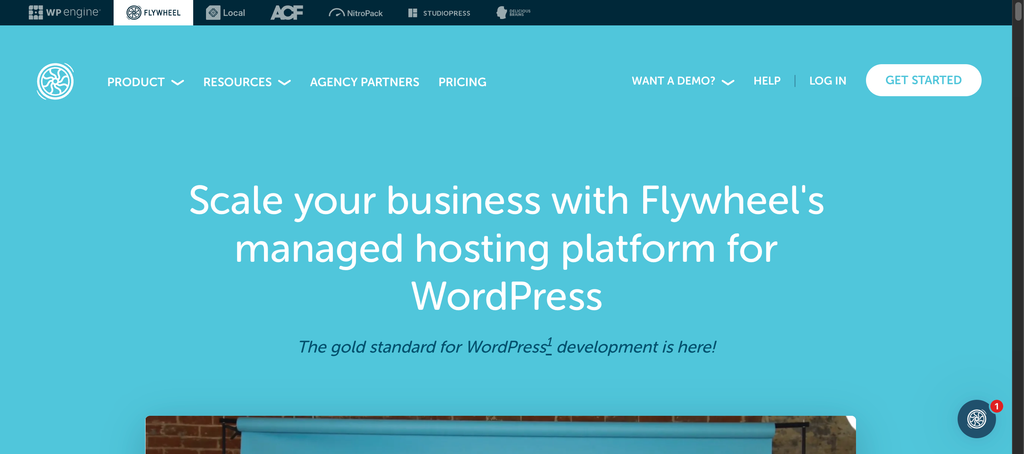Flywheel WordPress hosting