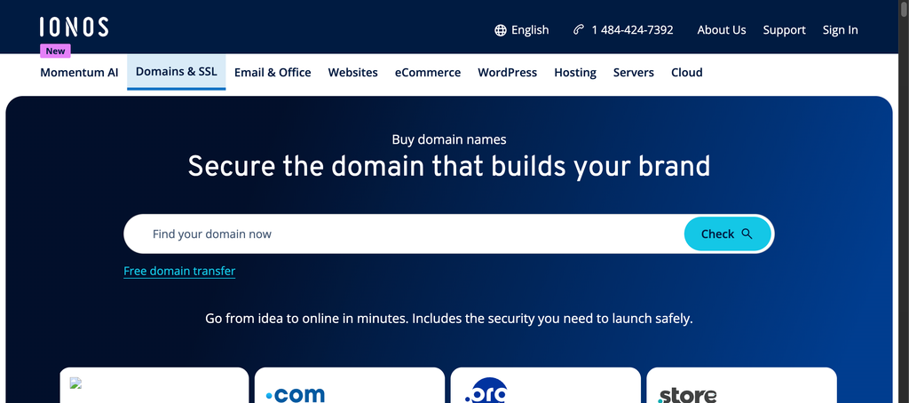 IONOS domain registrar
